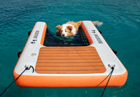 dog-ramp-1.jpg