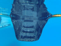 Dog Ramp underwater 2.JPG