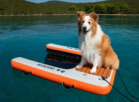 dog-ramp-0_main.jpg